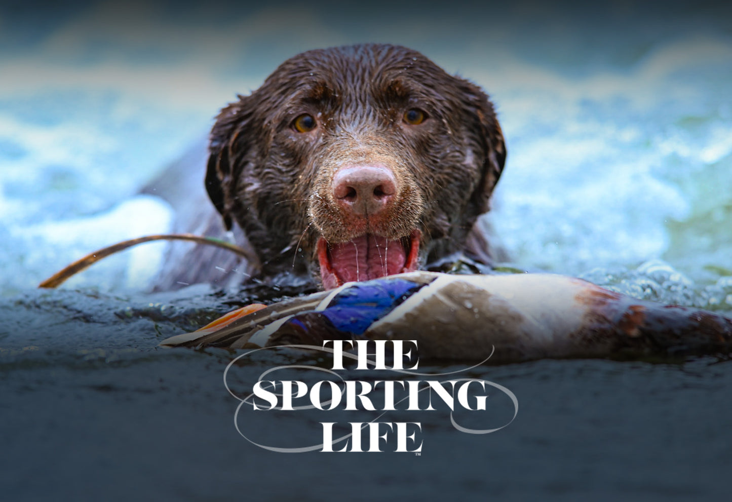 The Sporting Life Magazine Subscription